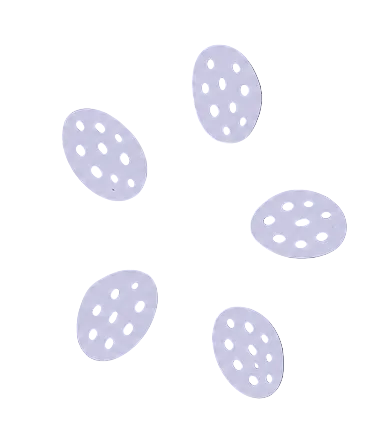chía
